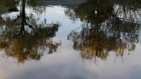 Eine-Tiefe-Meditationspraxis-Besteht-Darin,-Die-Spiegelungen-Des-Wassers-Eines-Sees-Bei-Sonnenuntergang-Betrachten-Zu-Können