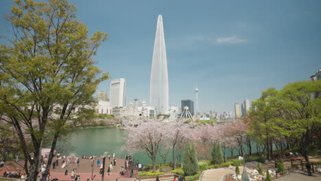 La-Gente-Disfruta-De-Los-Cerezos-En-Flor-En-El-Parque-Del-Lago-Seokchon-Con-La-Torre-Lotte-World-Al-Fondo:-Revelación-De-Dolly-En-ángulo-Alto