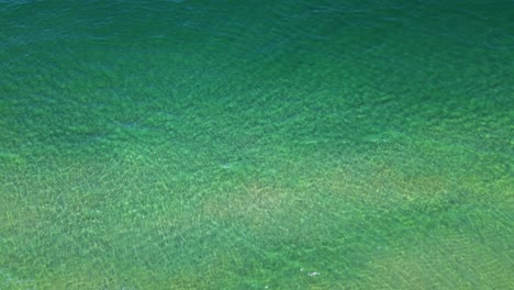 Una-Escalofriante-Toma-De-Tiburones-Desde-Un-Dron-Frente-A-La-Costa-En-El-Condado-De-Palm-Beach,-En-El-Sur-De-Florida.