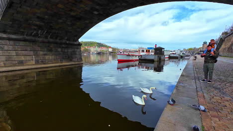 Father-piggybacking-small-boy-by-river-with-swans-below-city-bridge