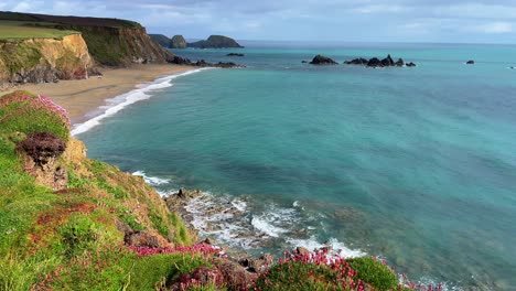 Seestücke,-Kleine-Inseln,-Felsnadeln-Und-Goldene-Strände-Und-Die-Ersten-Meeresnelken-Des-Frühlings,-Küste-Von-Waterford,-Irland