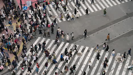 Pedestrians-At-Shibuya-Crossing-In-Tokyo,-Japan---Busiest-Pedestrian-Intersection-In-The-World