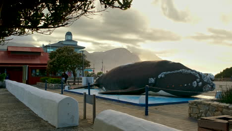 Goldener-Sonnenaufgangshimmel-In-Hermanus-Mit-Blick-Auf-Die-Berühmte-Walskulptur-Im-CBD