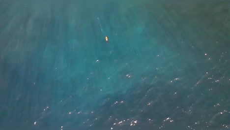 Top-down-drone-shot-pushes-in-to-reveal-a-swimmer-in-the-Pacific-Ocean-near-Big-Island,-Hawaii