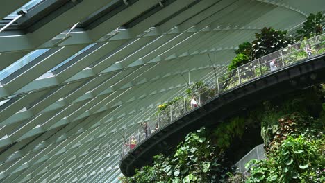 Tilt-up-view-capturing-the-people-walking-on-the-aerial-walkway-in-the-Cloud-Forest-greenhouse-conservatory-at-Garden-by-the-bay,-Singapore