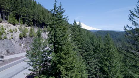 Ascenso-Lento-Del-Dron-Mientras-Recorre-Los-Bosques-Con-El-Monte-Bachelor-Al-Fondo