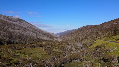 Schnee-Eukalyptusbäume-Am-Wanderweg-Dead-Horse-Gap