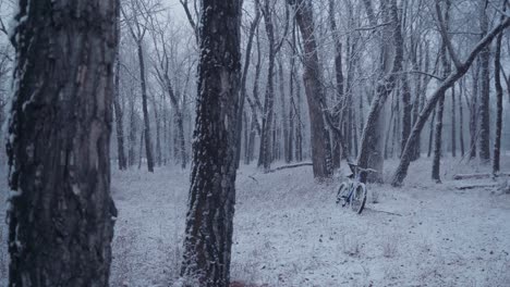 Verlassenes-Fahrrad-An-Einem-Winternachmittag-Im-Park