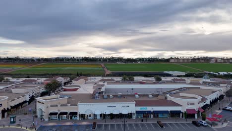 Seitwärts-Gerade-Linie-Drohnenflug-Carlsbad-Premium-Outlets-Mall-Mitte-Nach-Süden-Halbe-Blumenfelder-Hintergrund-Teilweise-Blüte-Bunte-Streifen-Und-Grün