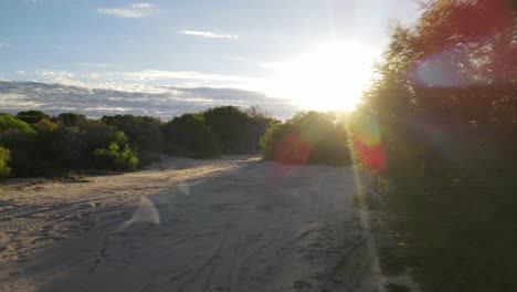 Walking-along-sand-around-bushes-towards-a-sunrise-in-Australia