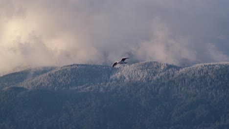 Vogel-Fliegt-In-Den-Himmel-Mit-Schneebedeckten-Bergen---Kamerafahrt