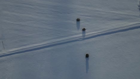 La-Toma-Aérea-Tomada-Directamente-Desde-Arriba-Captura-Un-Campo-Nevado-Con-Tres-árboles-Solitarios-Que-Proyectan-Largas-Sombras-Bajo-El-Sol-Bajo-Del-Invierno.