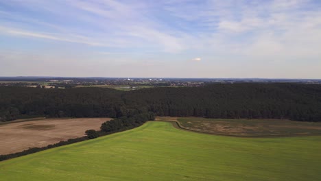 Sommertag-Im-Ländlichen-Raum,-Grünes-Maisfeld,-Wald