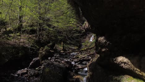 Water-dropping-From-Cliff-in-Magical-Forest-with-Mountain-Rriver-in-Austria,-Europe