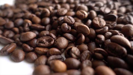 Close-up-of-seeds-of-coffee-05