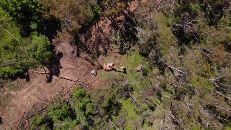 Vista-De-Arriba-Hacia-Abajo-De-La-Cosechadora-Que-Corta-árboles-En-El-área-De-Crackenback-En-Nueva-Gales-Del-Sur,-Australia