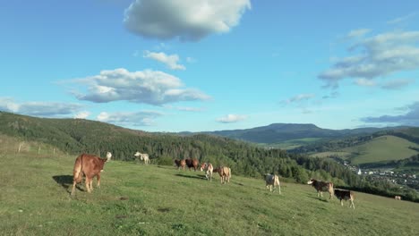 Toma-Panorámica-Cinematográfica