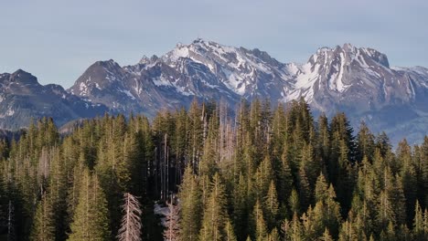 Sunlit-Säntis-Peak-over-Amden-Forest,-Switzerland---aerial