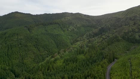 Los-Exuberantes-Paisajes-Forestales-De-La-Región-De-Las-Azores-De-Portugal,-Observados-Desde-Arriba,-Capturan-El-Espíritu-De-Exploración-Y-Descubrimiento.