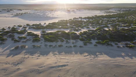 Drohnenluftaufnahme,-Die-Bei-Sonnenaufgang-Von-Den-Sanddünen-Zum-Strand-Herauszoomt