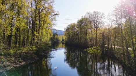 Hermosa-Foto-Desde-Un-Puente-Que-Muestra-El-Tranquilo-Río-Snoqualmie-Middle-Fork-En-North-Bend,-Estado-De-Washington