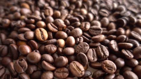 Close-up-of-seeds-of-coffee-07