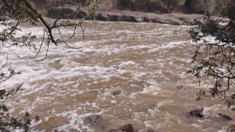 Turbulenter-Fluss,-Der-Durch-Felsige-Landschaft-Mit-Hängenden-Ästen-Fließt