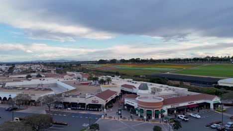 Drohnenflugroute-Carlsbad-Premium-Outlets-über-Der-Südwestlichen-Ecke-Des-Einkaufszentrums-Blumenfelder-Hintergrund-Teilweise-Blüte-Bunte-Streifen-Und-Grün