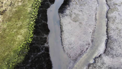 Top-down-Aerial,-River-Splitting-Into-Two-Directions,-Wetland-scene