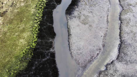 Luftaufnahme-Von-Oben,-Fluss-Teilt-Sich-In-Zwei-Richtungen,-Feuchtgebietsszene