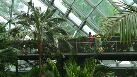 Visitors-walking-on-the-tree-top-walk-of-the-cloud-forest-greenhouse-conservatory-at-Gardens-by-the-bay-in-Singapore