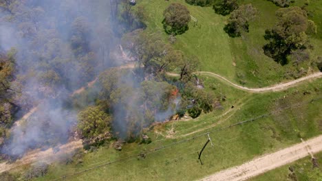 Aerial-tilt-down-footage-of-smoke-in-forest-of-Crackenback-during-afternoon-in-NSW,-Australia