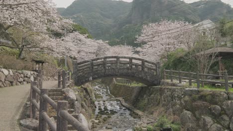 Okawachiyama,-the-porcelain-hidden-village-in-Saga-Prefecture,-Kyushu,-Japan-during-cherry-blossom-season