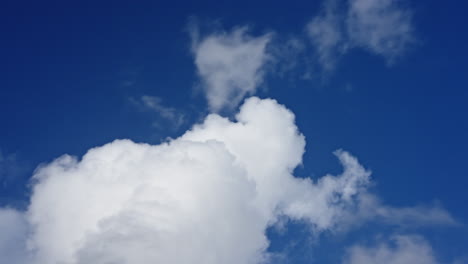 Zeitraffer-Teleaufnahme-Einer-Bauschigen-Weißen-Wolke,-Die-Ihre-Form-Am-Strahlend-Blauen-Himmel-Verändert