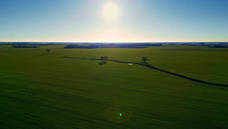 Weite-Landschaft-Mit-Frischen-Grünen-Feldern-Bei-Sonnenaufgang