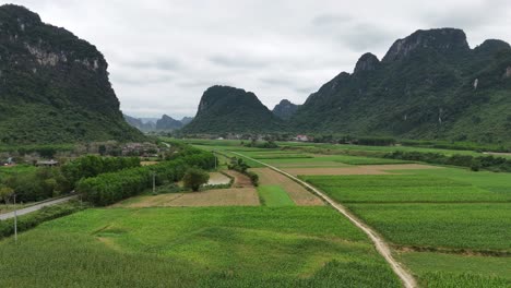 Aerial-Drone-Shot-of-Farmland-Between-Hills-Filled-with-Greeneries-In-Vietnam