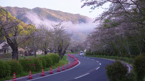 Cherry-Blossom-Lined-Road-in-Morning,-Mist-on-the-Mountains-of-Iwakuni-Japan