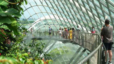 Handgeführte-Bewegungsaufnahme-Von-Touristen,-Die-Auf-Dem-Luftsteg-Des-Nebelwald-Gewächshaus-Wintergartens-In-Den-Gardens-By-The-Bay-In-Singapur-Spazieren