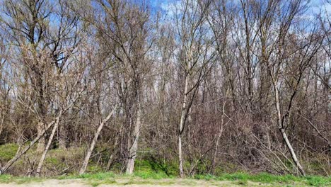 Außerhalb-Von-Chisinau,-Republik-Moldau,-Ländliche-Gegend-Und-Seenlandschaft