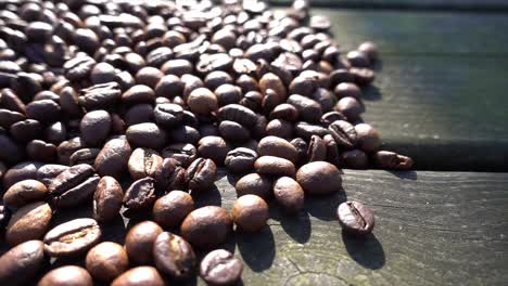 Close-up-of-seeds-of-coffee-06