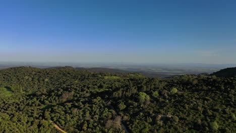 Vuelo-Con-Dron-En-La-Sierra-De-San-Vicente,-Descubriendo-La-Inmensa-Llanura-Toledana-Y-Pasando-Por-Un-Camino-De-Tierra-Que-Conduce-A-Un-Bosque-Autóctono-De-Encinas-Y-Sabinas-Con-Castaños.