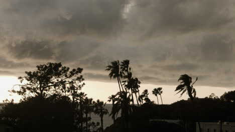 Nubes-Oscuras-Ruedan-Sobre-Las-Palmeras-En-Una-Playa-En-Encinitas,-California.