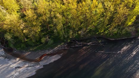 Beautiful-bird's-eye-view-of-tree-line-at-Snoqualmie-Middle-Fork-River-in-Washington-State,-North-Bend