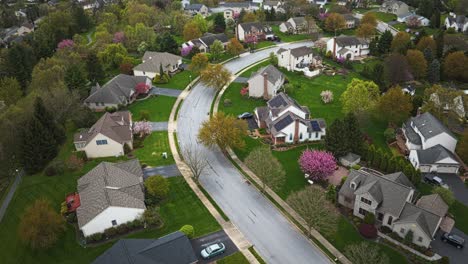 American-neighborhood-in-spring