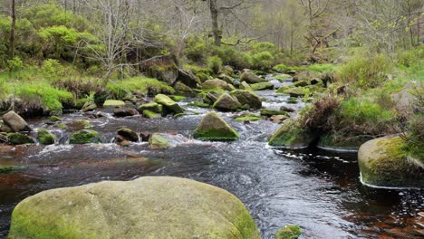 Langsam-Fließender-Waldbach-Wasserfall,-Ruhige-Szene-Der-Natur-Mit-Ruhigem-Teich-Darunter,-üppiges-Grün-Und-Moosbedeckte-Steine,-Gefühl-Der-Ruhe-Und-Unberührte-Schönheit-Der-Natur-Im-Waldökosystem