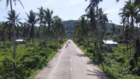 Surfer-Backpackers-Exploring-Island-riding-Mortorbikes-on-Palm-Tree-Road,-Drone-View