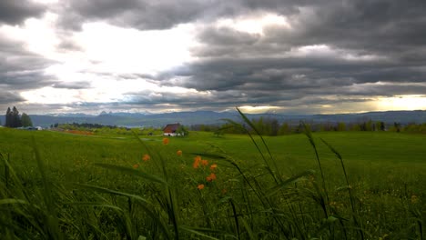 Stimmungsvoller-Sonnenuntergang-Mit-Einer-Grünen-Wiese,-In-Der-Mitte-Ein-Bauernhaus