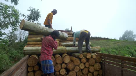 Trabajadores-Forestales-Indios-Transportando-Troncos-De-Madera-En-Un-Camión-En-Las-Regiones-Boscosas-Del-Sur-De-La-India