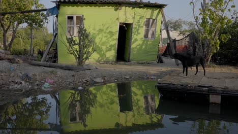 Una-Pequeña-Casa-Pobre-De-Madera-Verde-En-Un-Río-Contaminado,-Aparece-El-Dueño-De-La-Casa