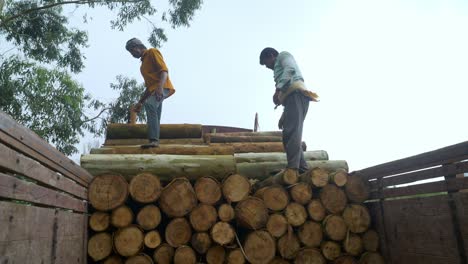 Indian-forest-workers-carrying-wooden-logs-onto-a-truck-in-forested-regions-of-South-India